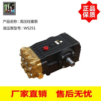 意大利进口INTER英特 250BAR 15L/Min 高压柱塞泵 WS251/102