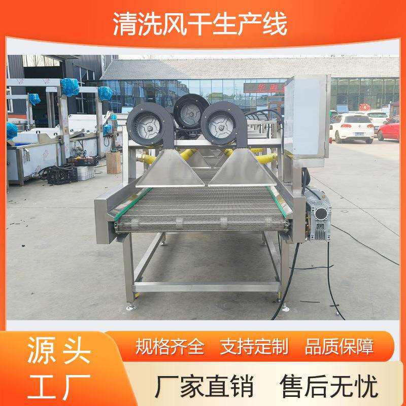 厂家直销清洗风干设备果蔬蓝莓樱桃草莓冷水槽清洗速干烘干流水线