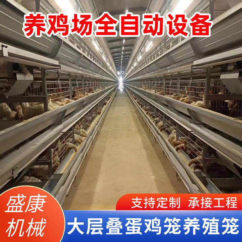 镀锌大层叠蛋鸡笼三四层养鸡笼养鸡场全自动立式鸡舍养殖笼设备