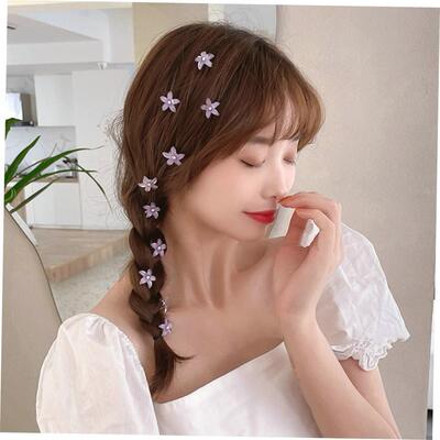 pin Girl Cute Headdress Girl Mini Hair Claw Hair Accessories