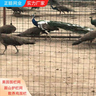 公路围栏网隔离栅 养鸡铁丝网 围栏网养殖 池塘防护网 养鸡荷兰网