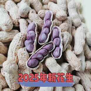 2025年新正宗福建龙岩连城四粒红衣咸水煮晒干紫衣花生湿烤五香脆