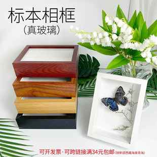 蝴蝶昆虫标本真玻璃中空相框镜面植物标本手工DIY材料装饰画摆台