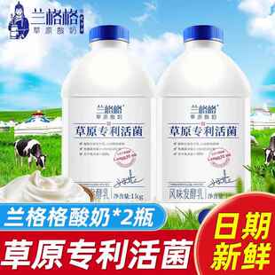兰格格草原活菌酸奶1kg桶发酵益生菌专利儿童做希腊干噎干 干巴酸