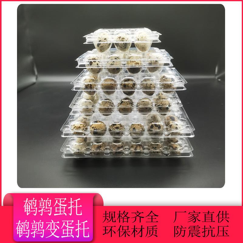 枚鹌鹑蛋塑料蛋托30枚鹌鹑蛋托盘12枚一次性透明鸟蛋打包盒