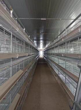 小层叠养殖鸡笼养全鸡VXK场智自动化蛋鸡笼自动系统操控能蛋鸡笼