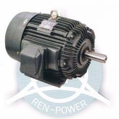 高崎电机自冷式变频马达1/4HP-125HP卧式立式