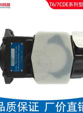 丹尼逊液压泵T6C-010-2R00油泵 泵芯T6D/E/CC/DC/EC/ED双联叶片泵