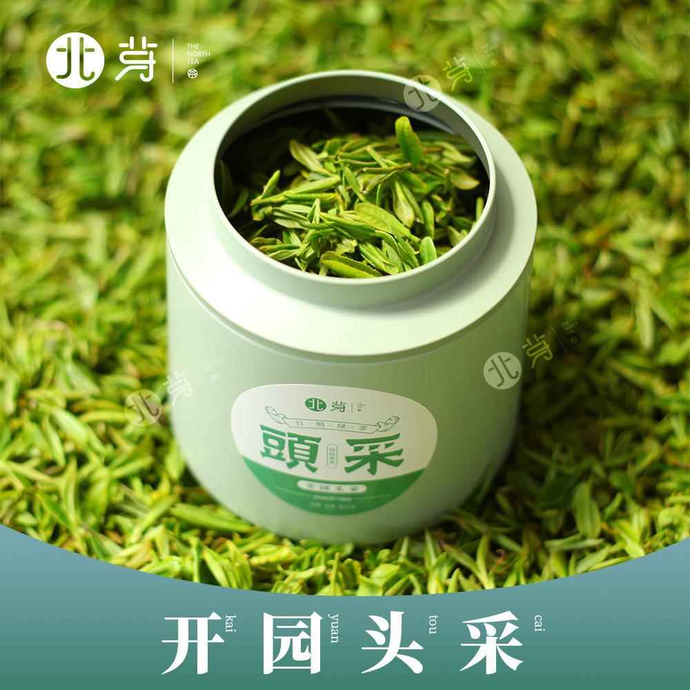 日照绿茶新茶开园头采特级罐装毛尖豌豆鲜香一芽一叶初展北芽