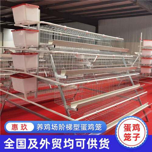 养鸡场阶梯蛋鸡笼外贸厂家鸡舍农业养殖鸡笼A型四层阶梯蛋鸡笼