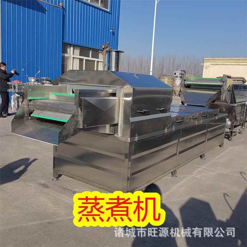 供应旺IBT果蔬漂烫机鲜玉米蒸煮漂烫杀青设备小型地蒸煮机瓜源