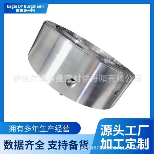 能源电厂汽前置泵HZB330-790A泵用机械密封博格曼机械密封件现货