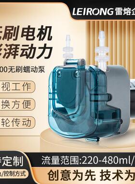 微小型BP300无刷电机蠕动泵实验室工业灌装机小流量抽水泵头