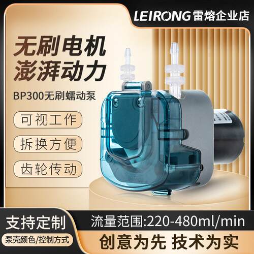 雷熔微小型BP300无刷电机蠕动泵实验室工业灌装机小流量抽水泵头
