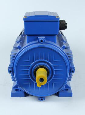 厂家生产直供全新全铜各种三相异步电动机0.37w/0.5hp-315w可选