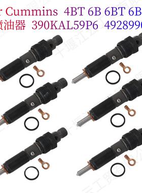 适用康明斯4BT6BT5.940-60HP喷油器493022549289900432131715