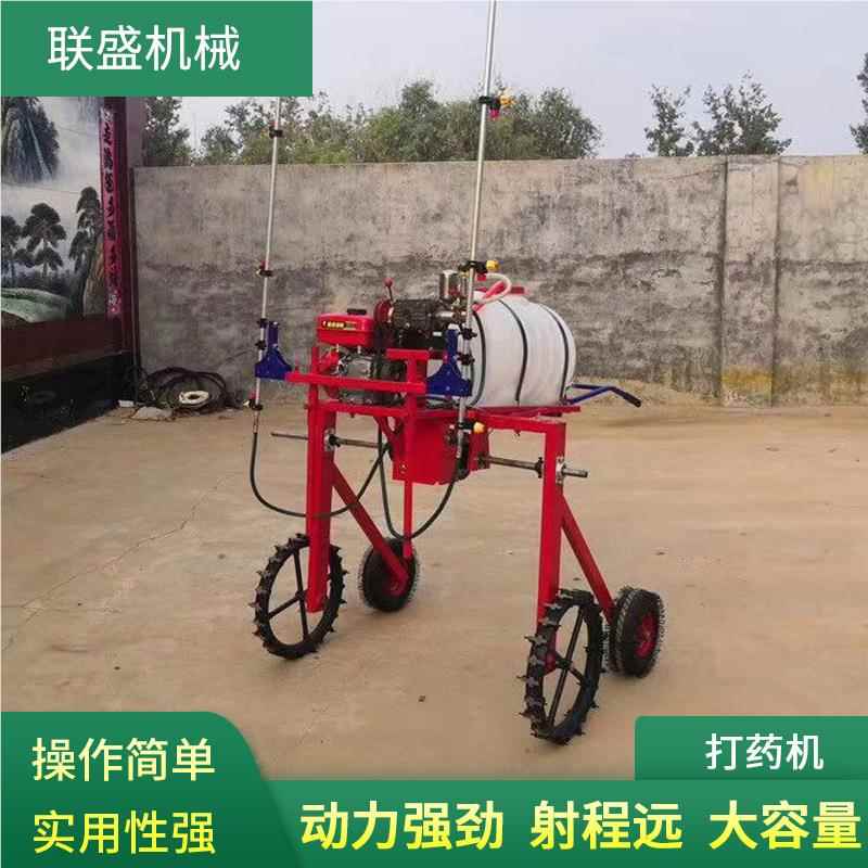 KSZ山东自距走式药机 手打药