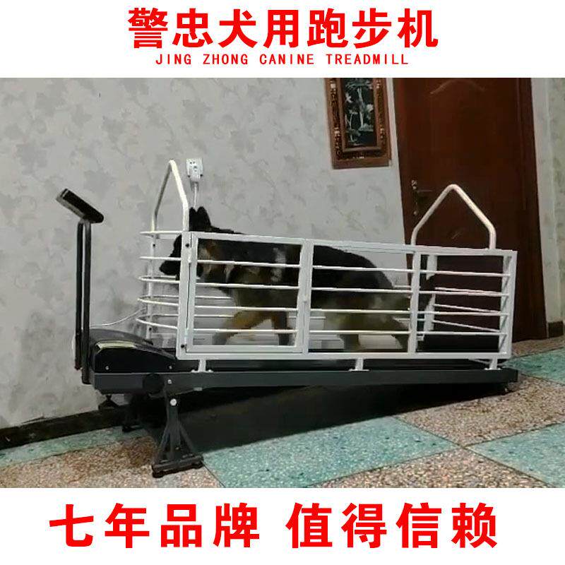 狗狗跑步机 德牧 马犬 卡斯罗 杜高 罗维纳 边牧 秋田犬跑步机