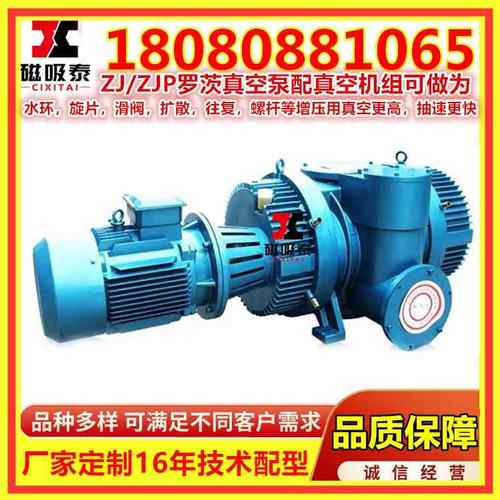 商丘钢液脱气ZJ/ZJP罗茨真空泵真空机组罗茨泵150/300/600/1200