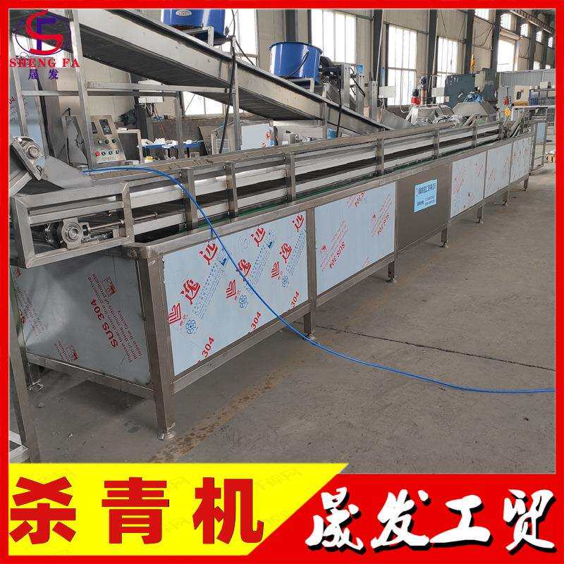 晟发牌花椒蒸汽杀青机 杏鲍菇水煮漂烫流水线 全自动连续杀青设备