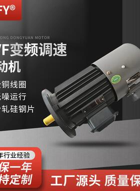 YVP/YVF3-225S/M-4极变频调速电动机37/45W380V三相异步电机