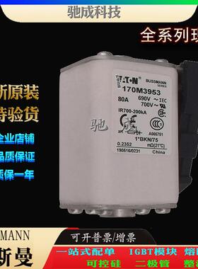 巴斯曼170M3952 170M3953 170M3954 厂家直供价优 低压熔断器