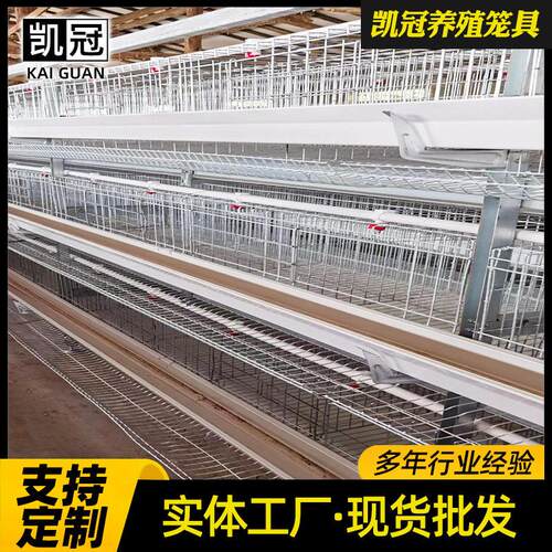 全镀锌框架蛋鸡笼框架式养鸡设备全自动清粪带养殖场鸡笼设备