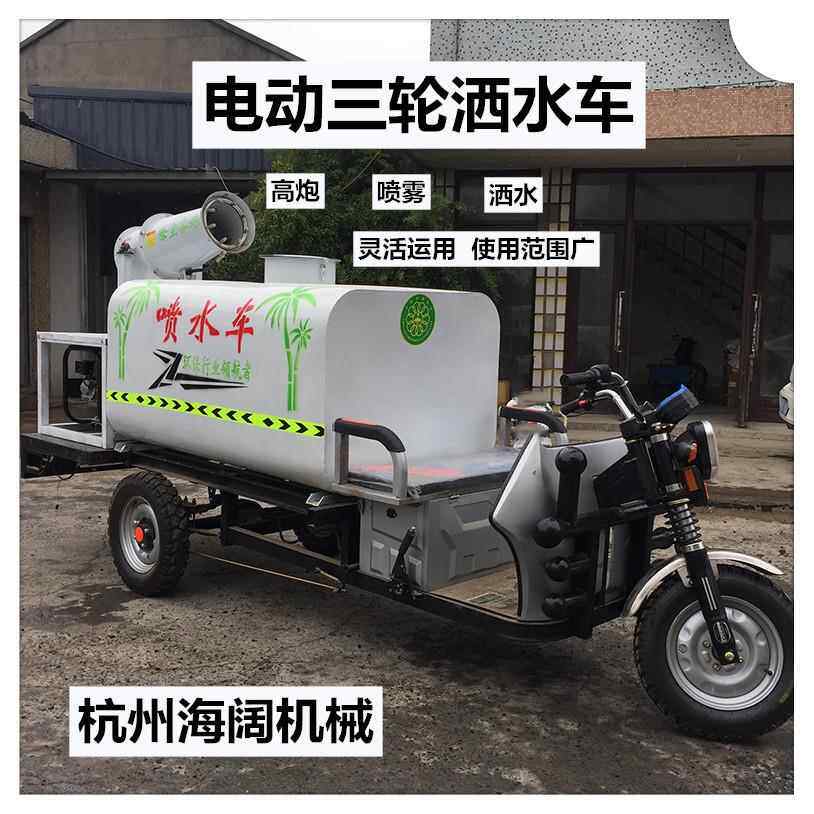 小型电动三轮洒水车 电动雾炮洒水车 环卫绿化电动三轮洒水车