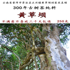 云南普洱茶景谷黄草坝茶乔木古树茶纯料生茶250克2021年明前头春