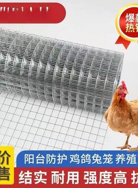 养殖网热镀锌钢丝网加粗超硬铁丝网养鸡鸭鹅封窗网防蛇鼠铁网格网