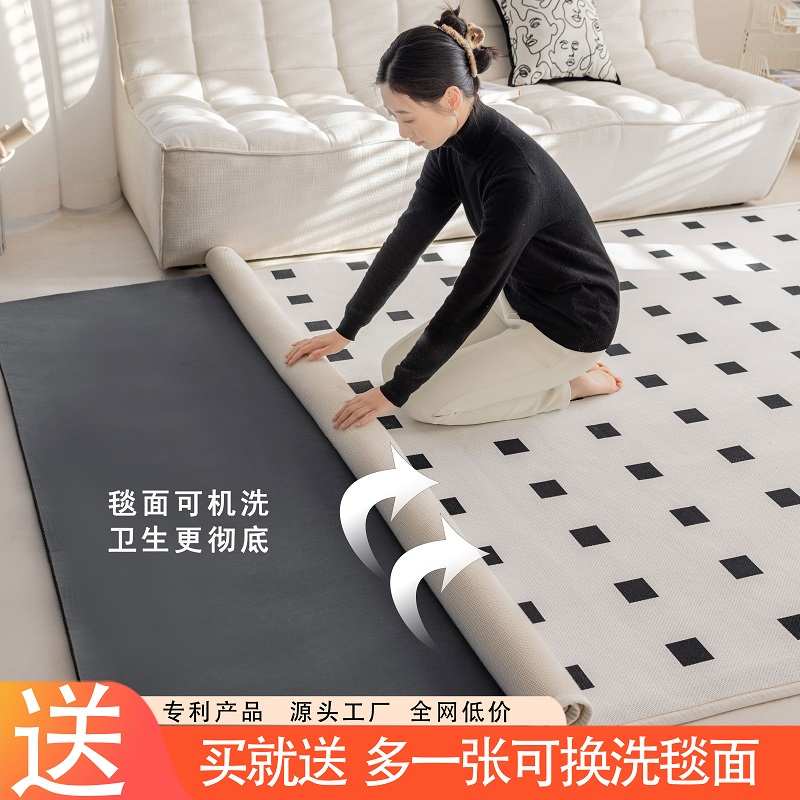 双层可机洗地毯家用客厅2024新款秋冬卧室地垫加厚可拆洗免打理
