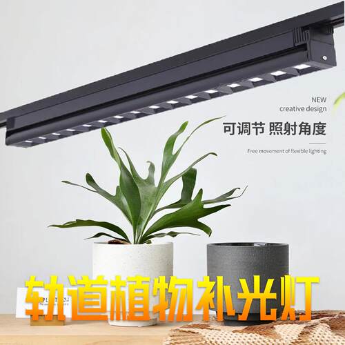 植物生长灯全光谱多肉补光灯上色室内蝴蝶兰鹿角蕨补光灯led
