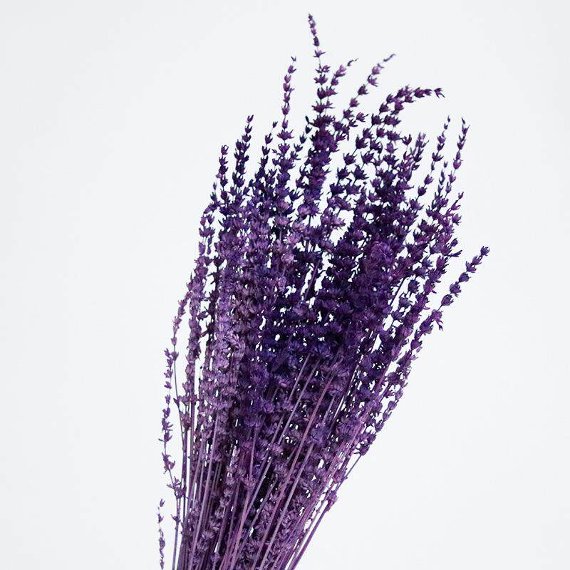 新款直销薰衣草干花永生花染色深色材料花材天然真花室内装饰花束