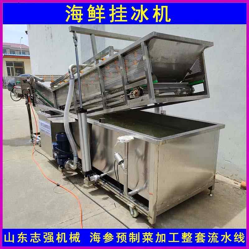 不锈海钢鲜海752裹冰机器 参鲍鱼带鱼段鲜挂冰机 海增重设备厂