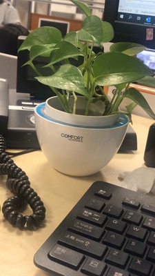 震撼反馈!保友金豪e精英版怎么样?千万要注意的细节?