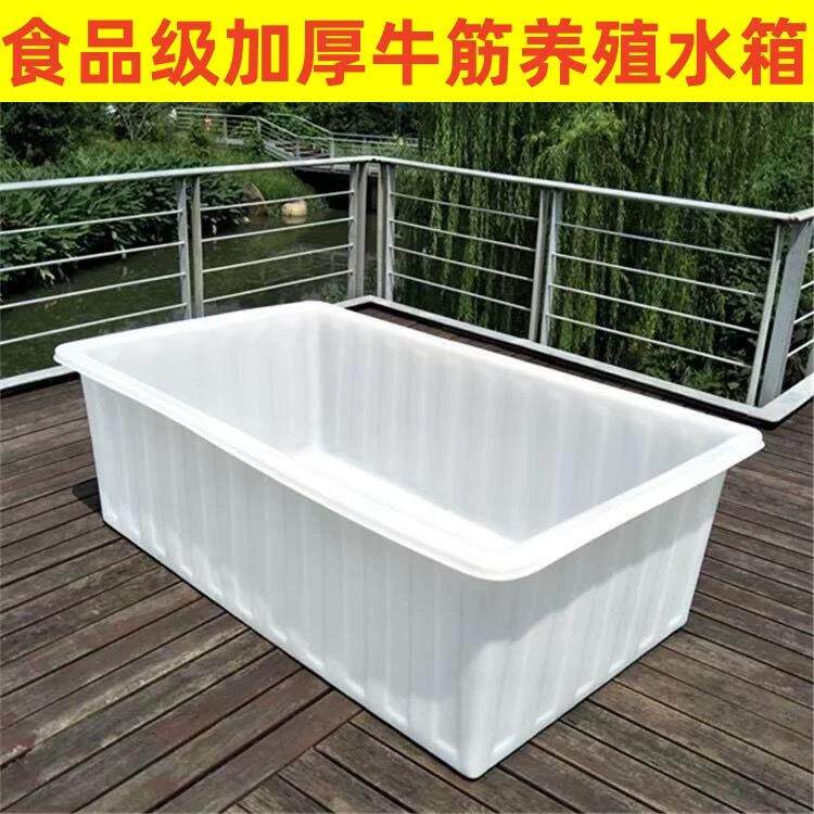 加厚牛筋塑料水箱长方形超大储水桶水产养殖方桶养鱼卖鱼牛筋浅盆