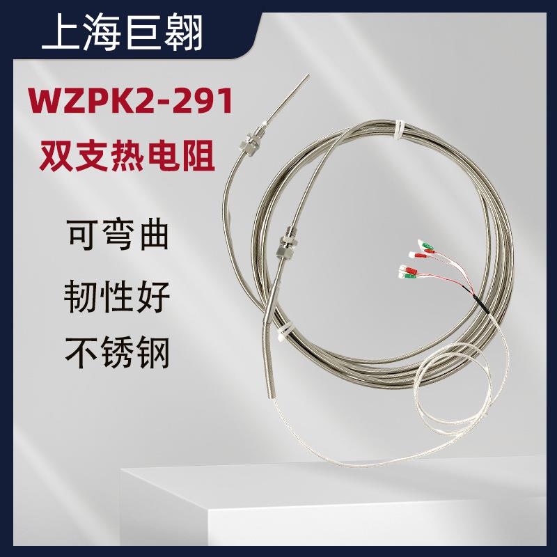 热电阻pt100温度传感器WZPK不锈钢针探式可变形热电偶测温线引线