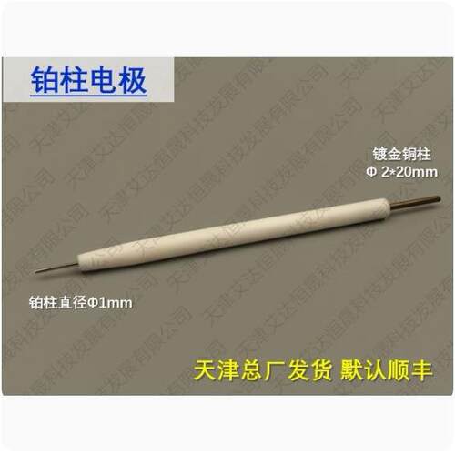 天津艾达恒晟 铂柱电极 Pt015/Pt010 原厂直接发货