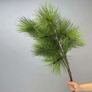 仿真松树枝带果假松枝景观松针黑松柏枝叶迎客松圣诞树大马尾松