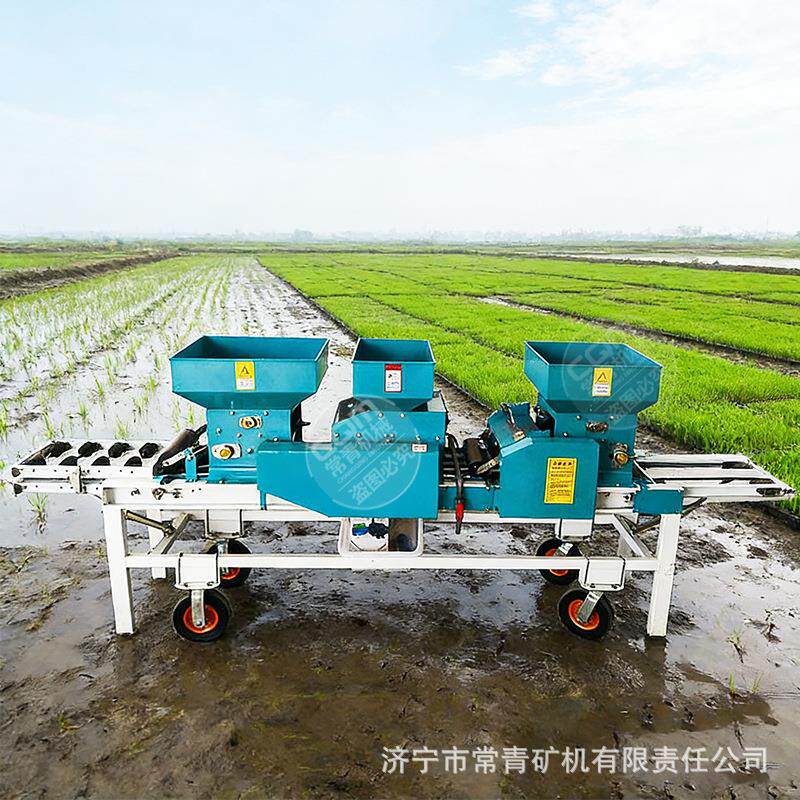 水稻育秧播种机厂家稻谷种子育秧机电动育秧穴盘全自动播种一体机