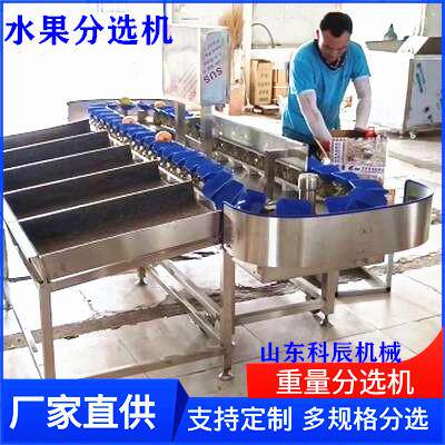水果LXM选果机苹果选机南瓜柑重量分 动选机 芦柑自称重分拣分机