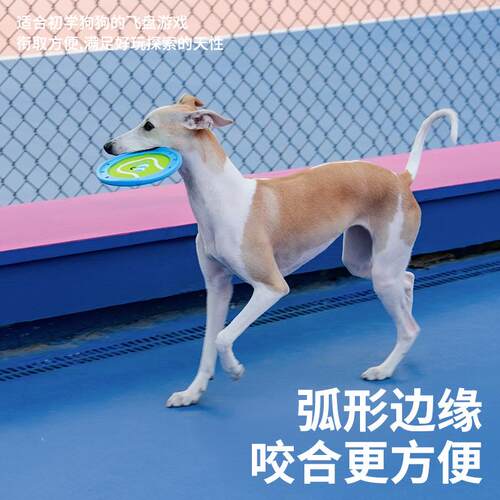 zeze专狗狗具飞盘耐咬狗玩用飞盘金毛边牧户外飞训狗训UWH练盘飞