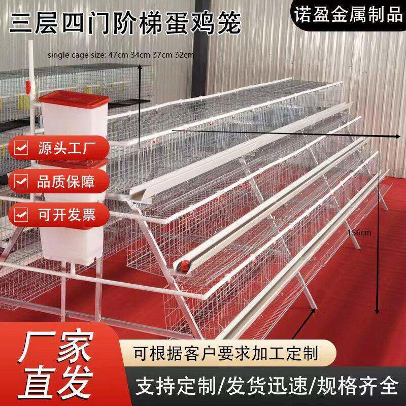阶梯蛋鸡笼加厚方管白槽错层易清理热度锌三层四层可热镀四门五门