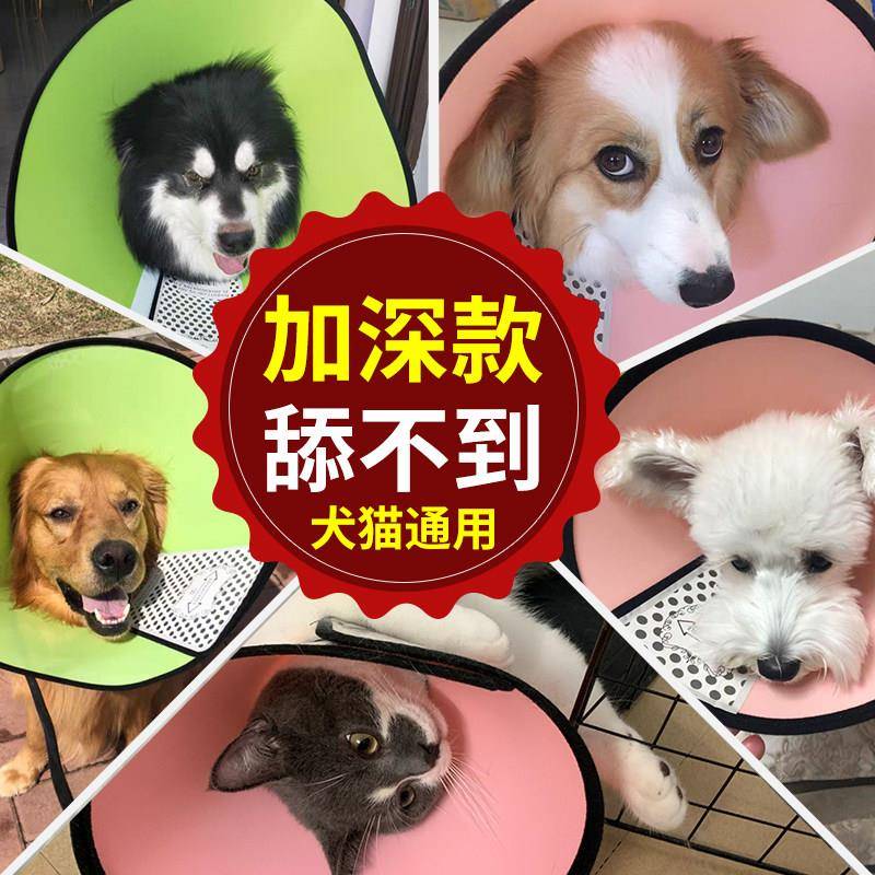 大型头套狗狗猫项圈脖套防舔猫咪宠物防抓圈防咬洗澡头罩小型喇叭