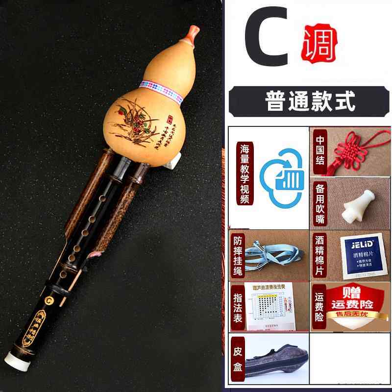 高档天然紫竹葫芦丝成人初者b降入调中小学生学c调零基础门考级入