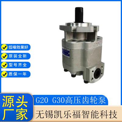 工程机械双联齿轮油泵G2020-6D15T7T,G2020-6D13T13T起重机油泵
