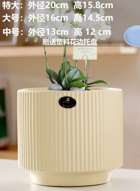 蝴蝶兰亚马逊批发直销陶瓷花瓶