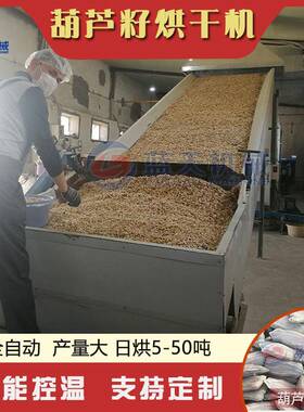 葫芦子网带烘干设备新疆打瓜子吊瓜籽南瓜子干燥机葫芦籽烘干机