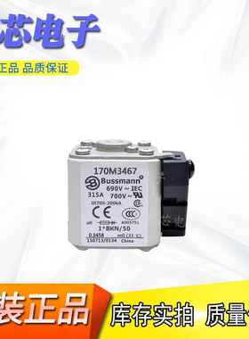 BUSSMANN巴斯曼快速熔断器/保险丝170M6166 170M6167现货直销