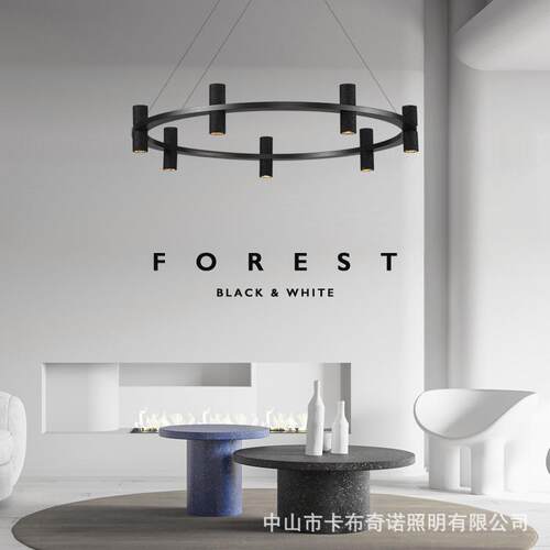 现极简全铜客厅灯557设计感高端黑洞石圆环餐厅灯卧室大厅具代轻